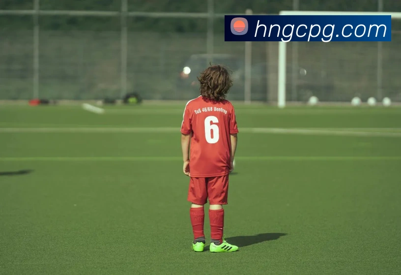 pg官网服务体系